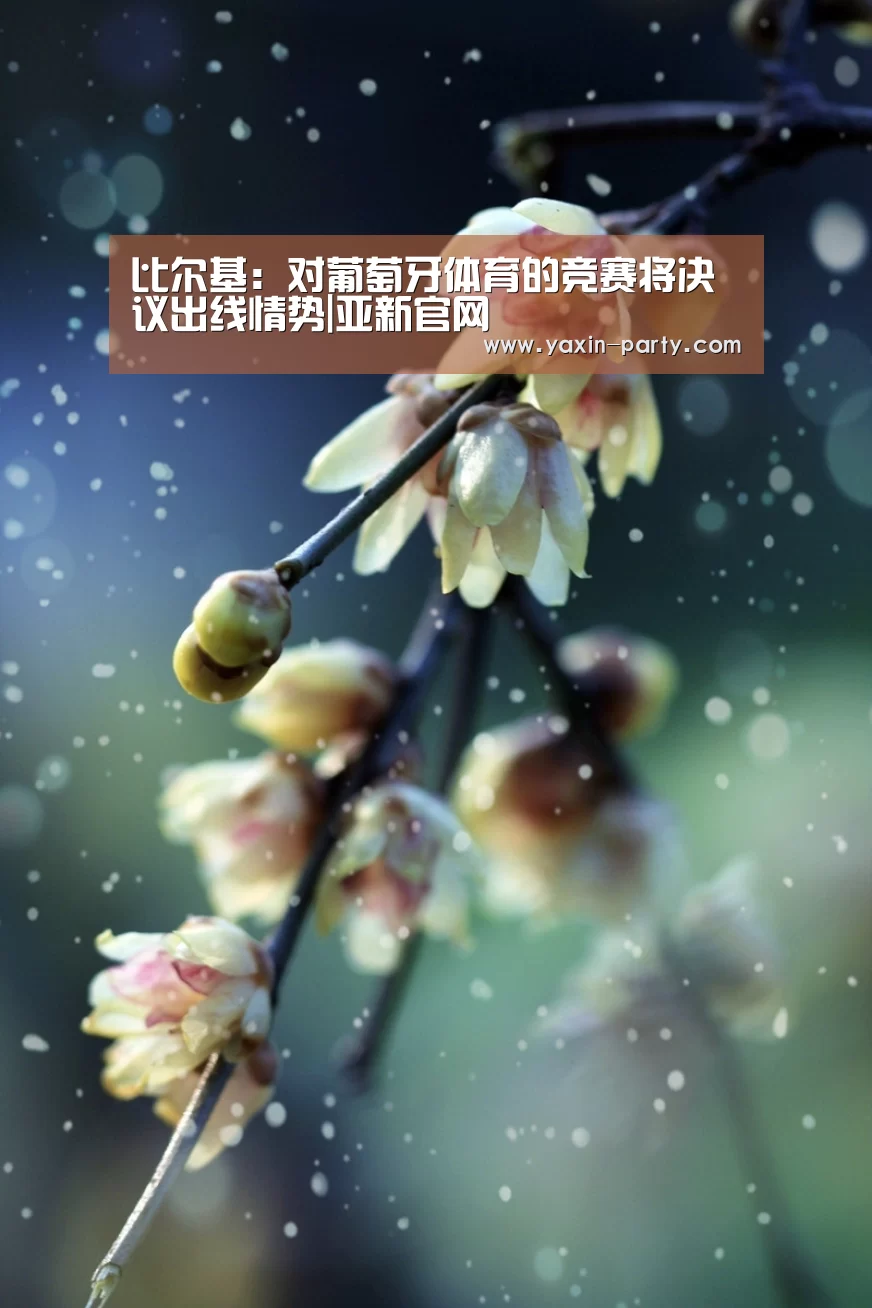 比尔基：对葡萄牙体育的竞赛将决议出线情势|亚新官网