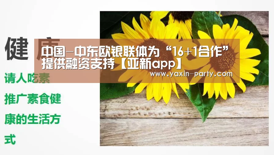中国-中东欧银联体为“16+1合作”提供融资支持【亚新app】(图3) 亚新官网