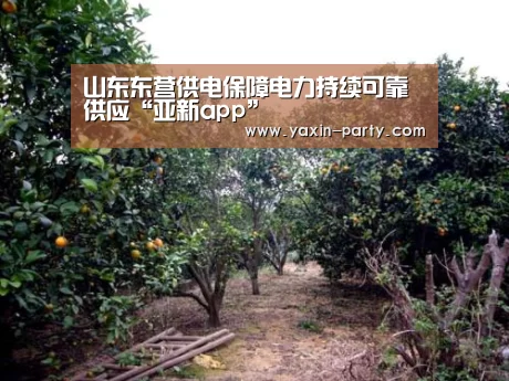 山东东营供电保障电力持续可靠供应“亚新app”