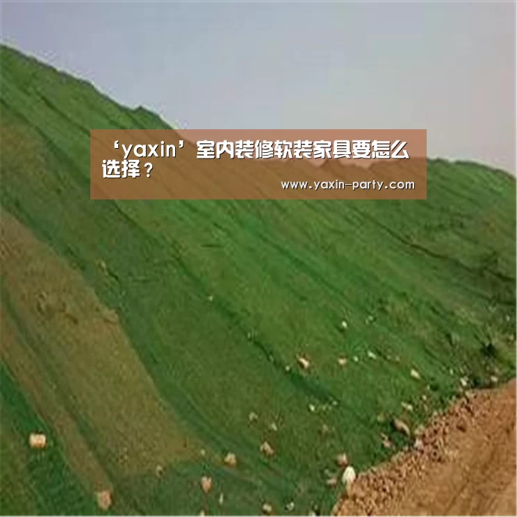 ‘yaxin’室内装修软装家具要怎么选择?(图3) ‘yaxin’室内装修软装家具要怎么选择?(图3)